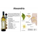 HattenWines Alexandria 750ml